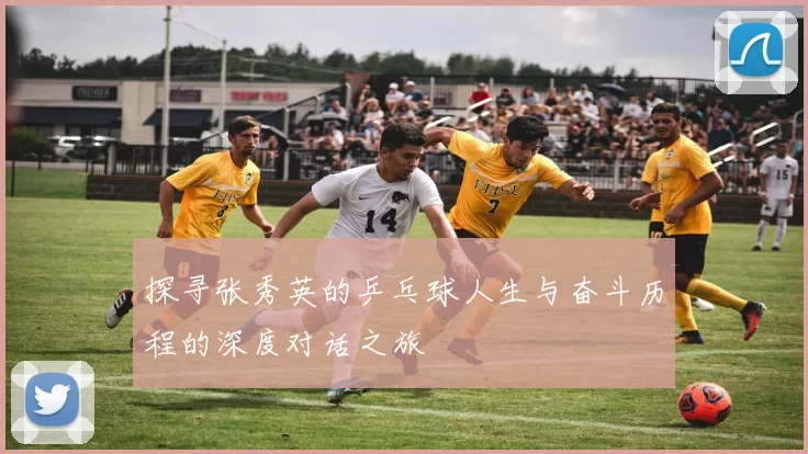 探寻张秀英的乒乓球人生与奋斗历程的深度对话之旅