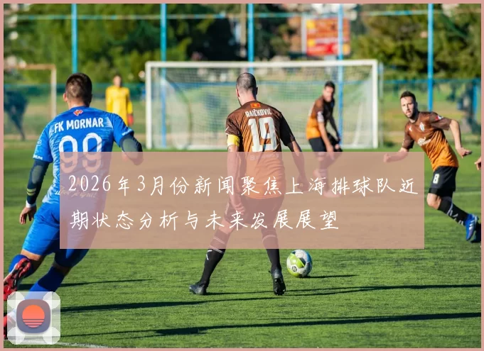 2026年3月份新闻聚焦上海排球队近期状态分析与未来发展展望