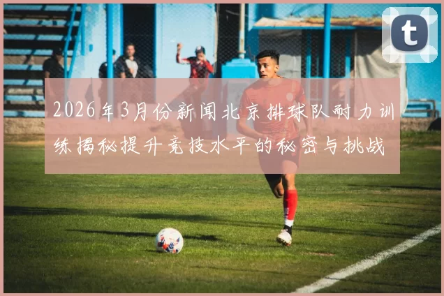 2026年3月份新闻北京排球队耐力训练揭秘提升竞技水平的秘密与挑战
