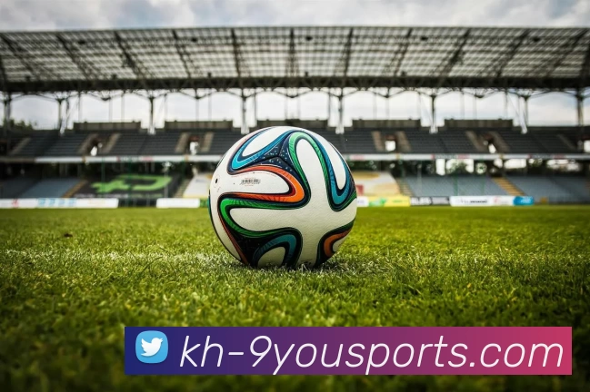 九游体育官方网站平台生态图